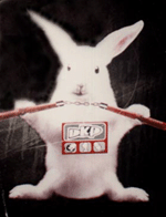 la r&eacute;f&eacute;rence !